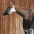 DeeLee223 :icondeelee223: