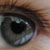 :icondeemy17: