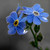 :icondeep-blue-secret: