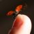 :icondeep-crimson-girl: