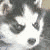:icondeepblossom: