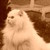 :icondeepdarkestnight: