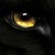 :icondeephunger: