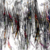 :icondeepseabreakfast: