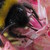 :icondeepseamantaray: