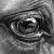:icondeepserenity92: