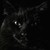 DeepShadow-Deep :icondeepshadow-deep: