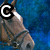 :icondeercreekranch:
