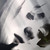 :icondeermaiden: