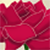 :icondeesse-des-fleurs: