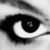 :iconDeeTee46: