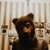 :icondefeatrm: