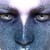 :icondefectous: