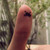 :icondefosaur:
