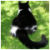 :icondefrooties: