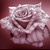 :icondefyinggravityalways: