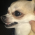 :icondeidara-chan88: