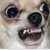 deidara-OMG-haha :icondeidara-omg-haha:
