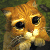 :icondeidarahidan: