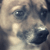 :icondeimon13:
