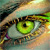 :icondeirdre-zanella: