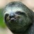Deizarius :icondeizarius: