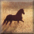 :icondeja-rain: