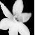 :icondejectedstarflower: