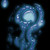 :icondejha-seo: