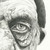 :icondekayaphex: