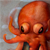:icondeleitesemcor: