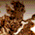 :icondeliahx: