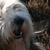 :icondelicate-faerie: