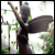 :icondelicatedecember: