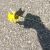 Delilahwolfe :icondelilahwolfe: