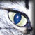 :icondelimisin: