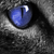:icondelinquent-unicorn: