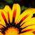 :icondeliquescing: