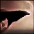 :icondelirius1: