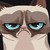 :icondelkathus: