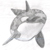 :icondelphinus85: