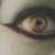 :icondelusional-asylum: