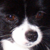 :icondemanddesign: