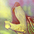 :icondemeandor: