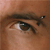 :icondementeanimal: