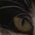 :icondementedwolf:
