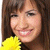 :icondemetrialovee: