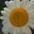 :icondemi-sourire: