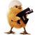 :icondemiterz: