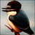 :icondemo-d: